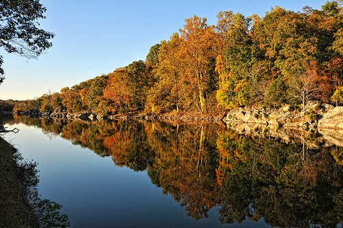 Great Falls Fall Color