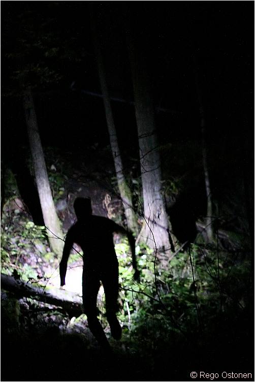 Night Orienteering